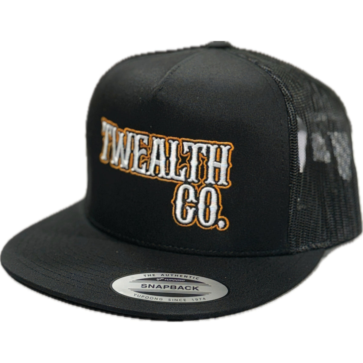 Twealth Co. Signature Snapback Riders Hat